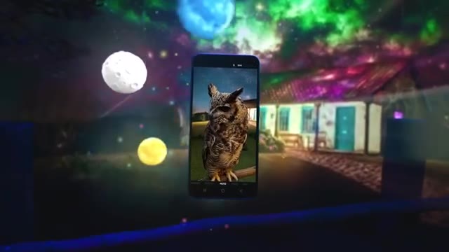 Owl