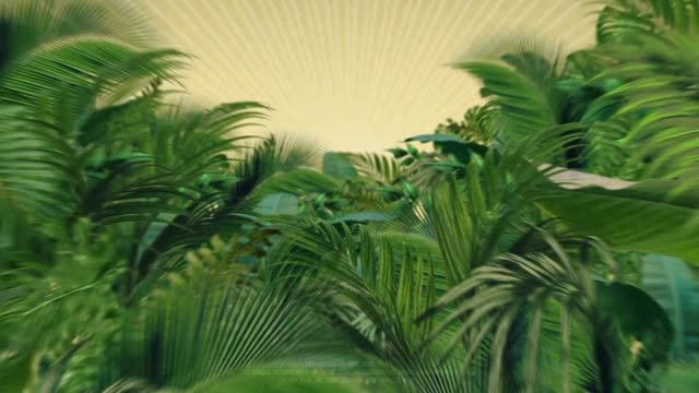 Bacardi Presidente