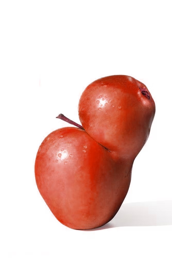 A 3D model of a deformed apple grown into two lobes