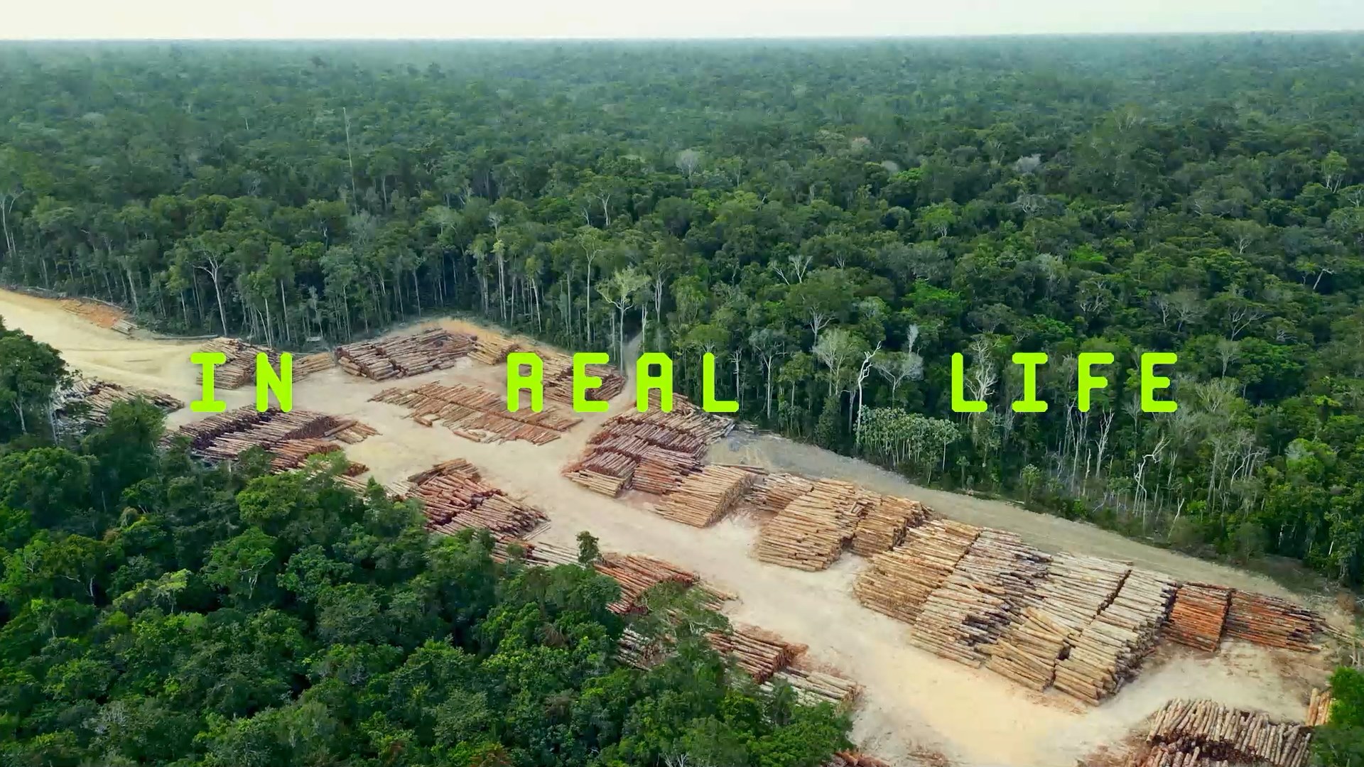 An aerial view of felled logs stacked at the edge of the forest