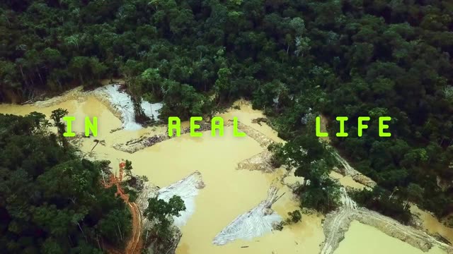 Flying Guardians, a plane over the Amazon in a modified flight simulator