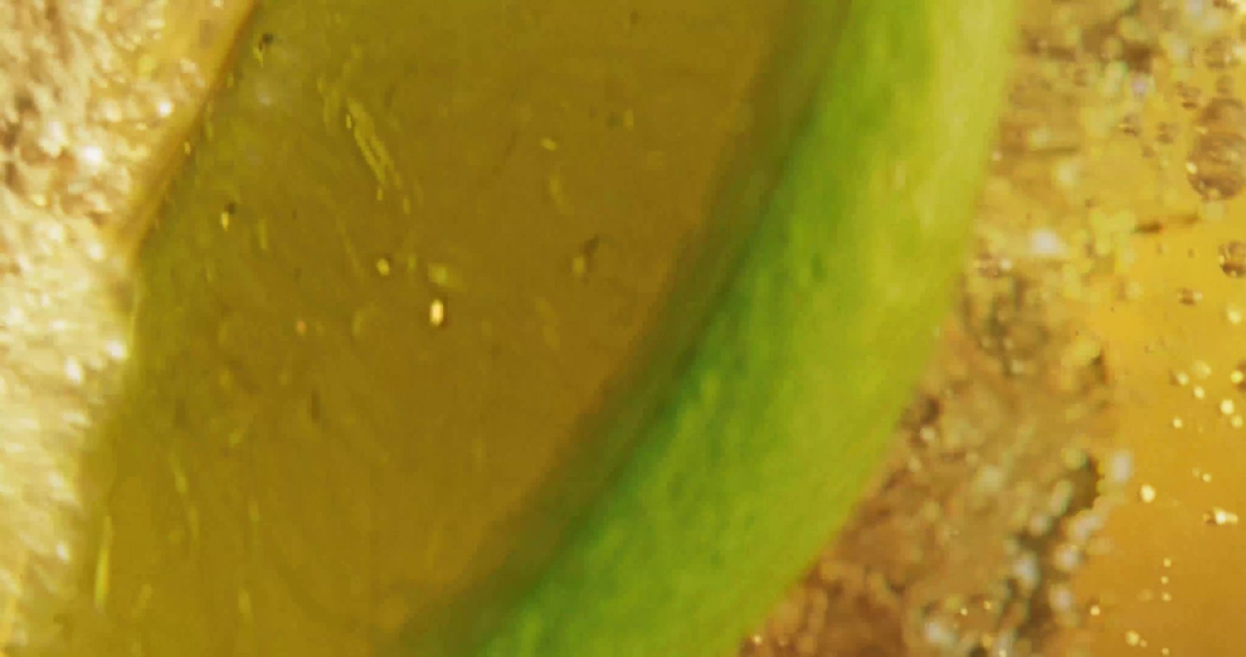 Macro frame of a lime wedge against condensation and bubbles