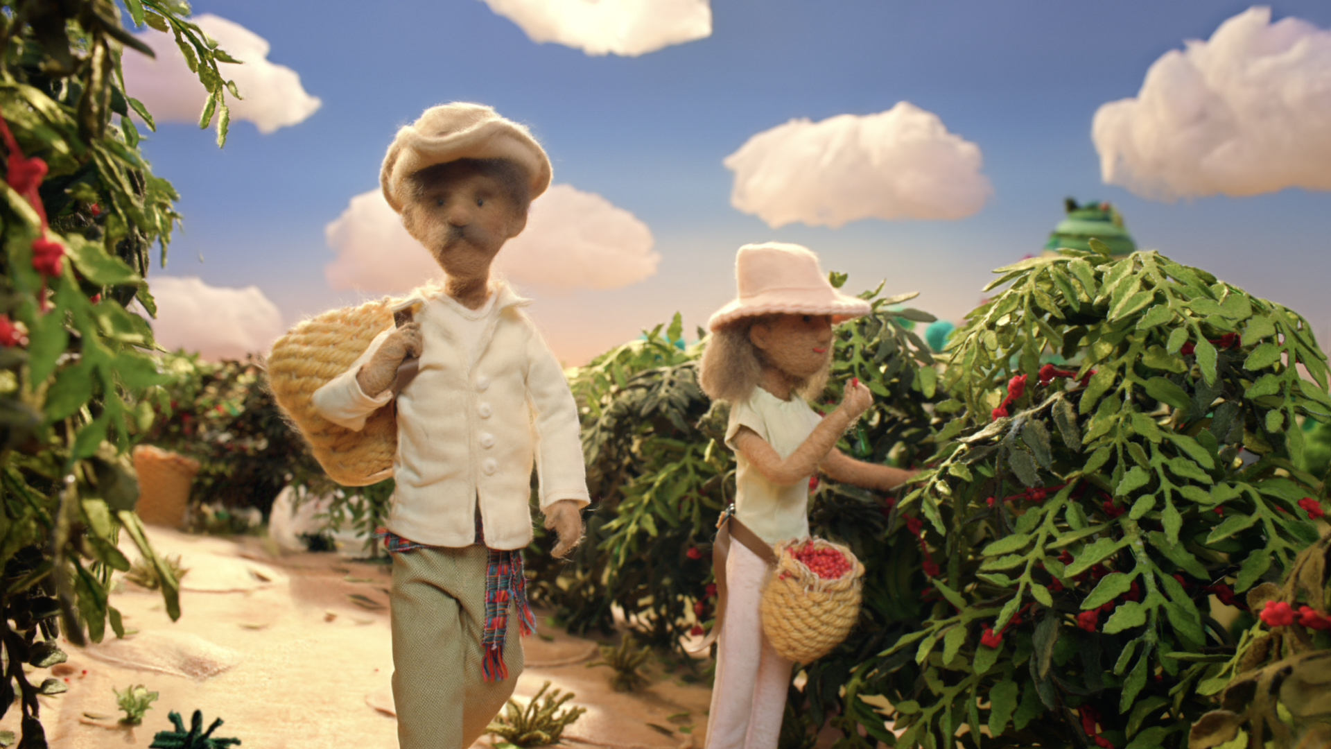 Hand-crafted pickers harvesting felt coffee cherries in Nescafé Reserva Mexicana
